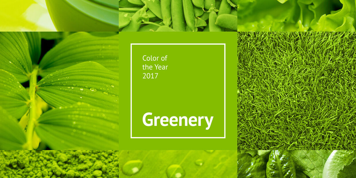 Farbe des Jahres 2017 - GREENERY