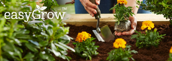 easyGrow – the brand for sustainable production of B&Q
