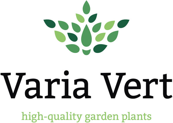 A good example is Varia Vert - highest competence for the Swiss and Austrian markets.