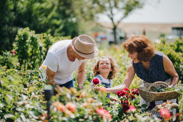 The baby boomer generation enjoys their gardening hobby – with their grandchildren 